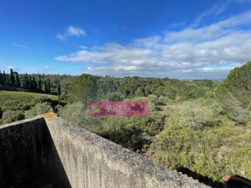 Terreno Misto para Venda em Zibreira