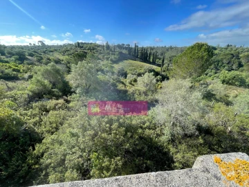 Terreno Misto para Venda em Zibreira