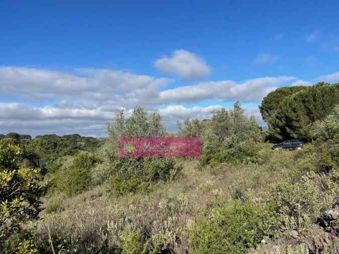 Terreno Misto para Venda em Zibreira Foto 3