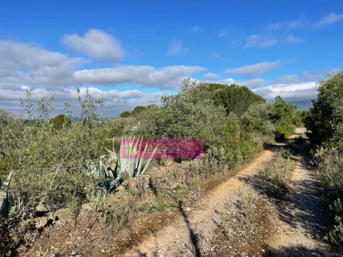 Terreno Misto para Venda em Zibreira Foto 2