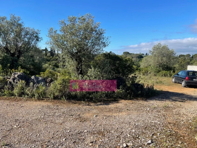 Terreno Misto para Venda em Zibreira Foto 4