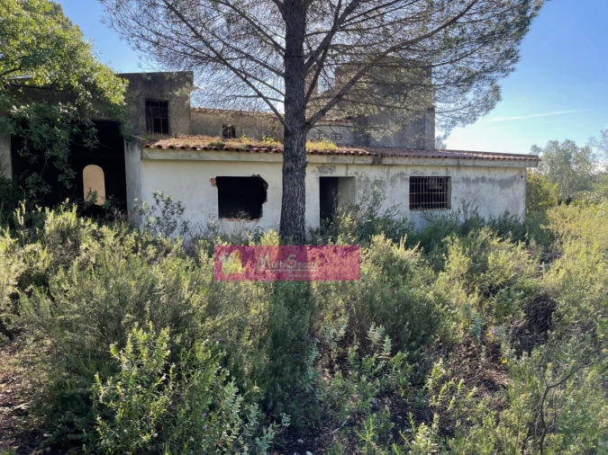 Terreno Misto para Venda em Zibreira Foto 6