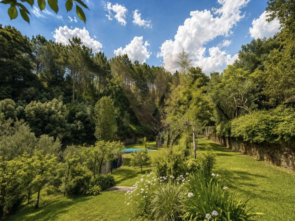 Moradia T3 para Venda em Bárrio e Cepões Foto 21