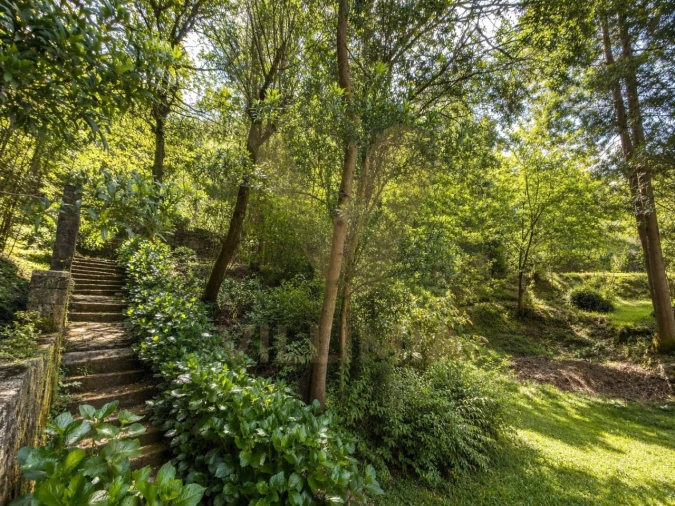 Moradia T3 para Venda em Bárrio e Cepões Foto 22