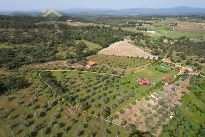 Quinta T0 para Venda em Tinalhas