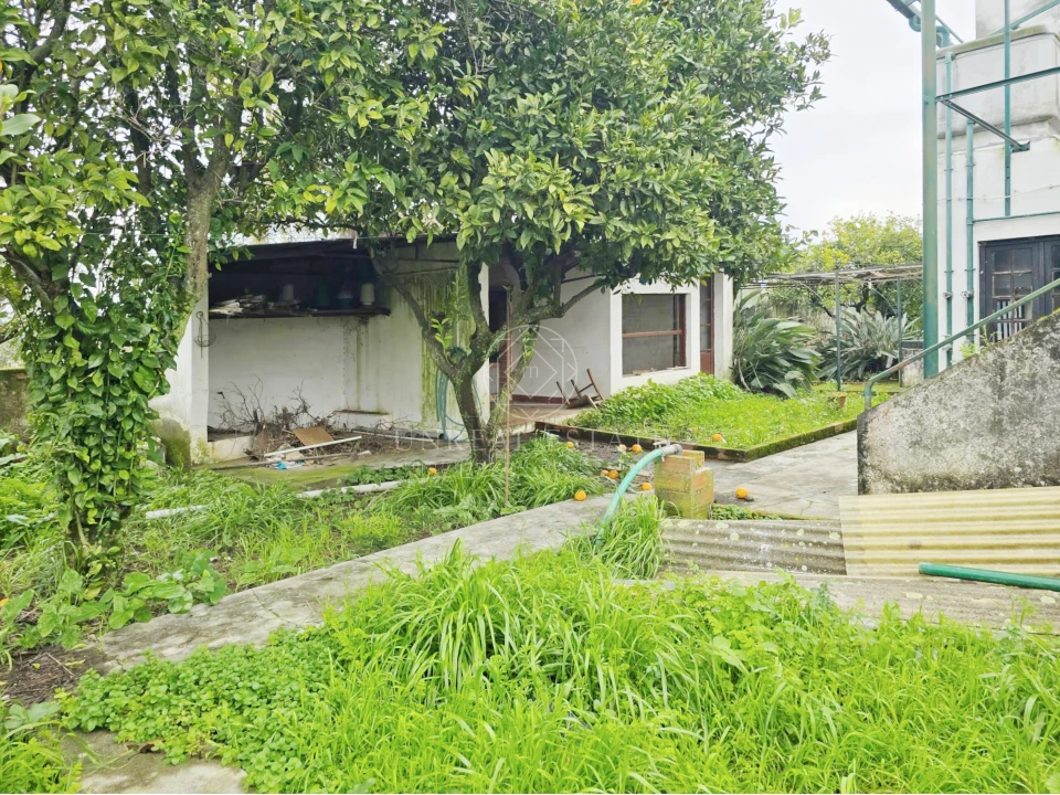 Moradia T4 para Venda em Torres Novas (Santa Maria, Salvador e Santiago) Foto 48