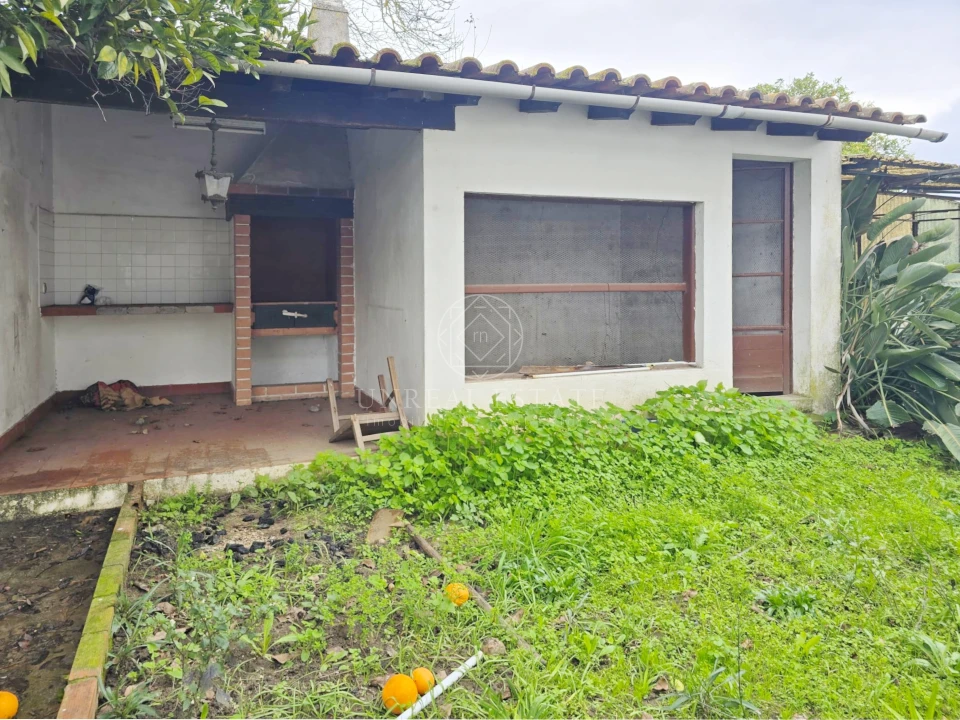 Moradia T4 para Venda em Torres Novas (Santa Maria, Salvador e Santiago) Foto 47