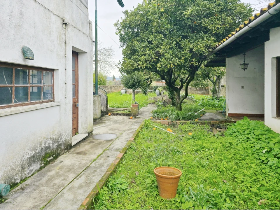 Moradia T4 para Venda em Torres Novas (Santa Maria, Salvador e Santiago) Foto 46