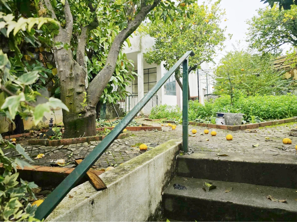 Moradia T4 para Venda em Torres Novas (Santa Maria, Salvador e Santiago) Foto 40