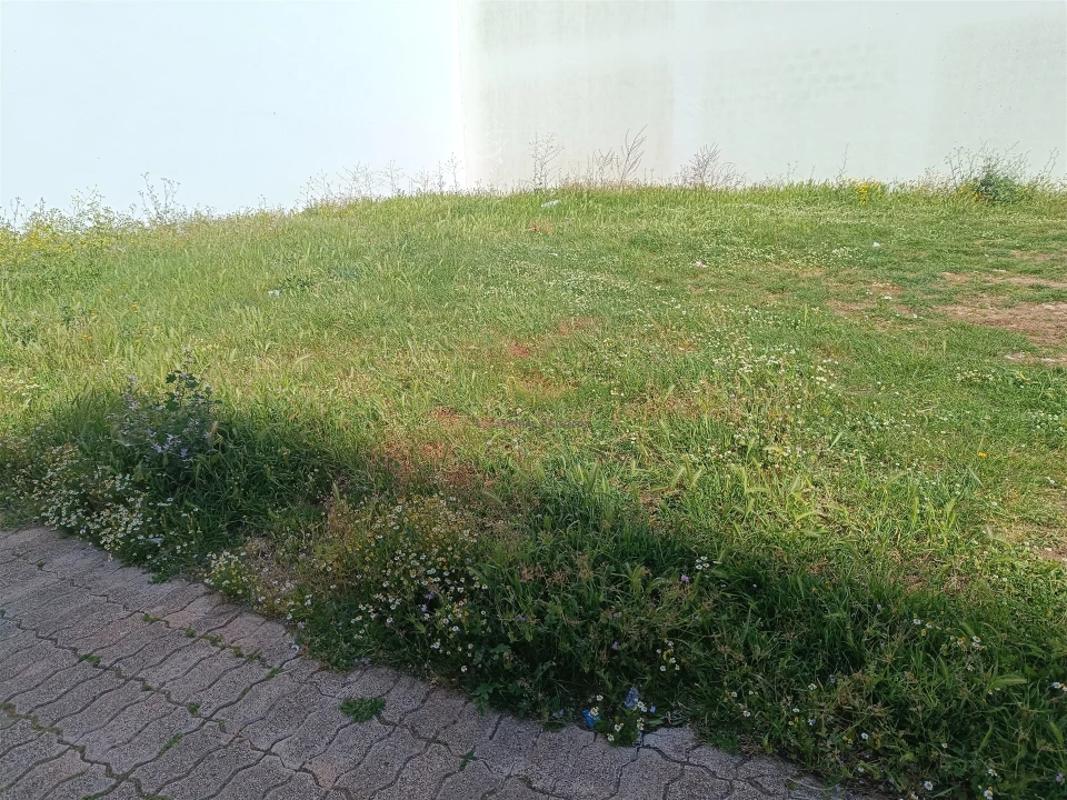 Terreno para Venda em Queluz e Belas Foto 17