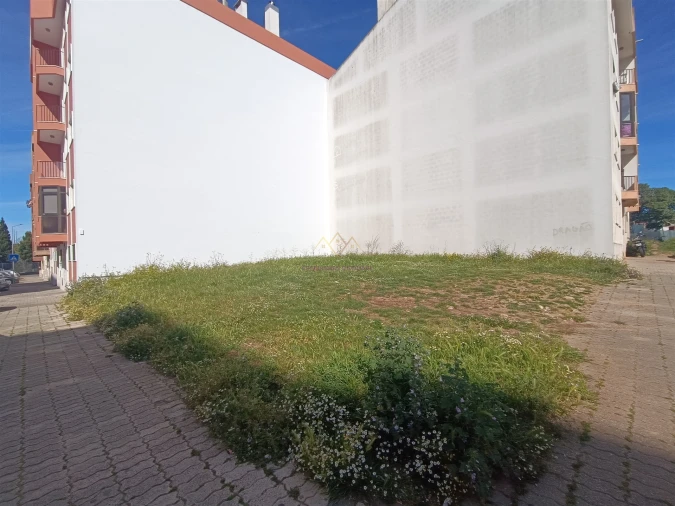 Terreno para Venda em Queluz e Belas Foto 12