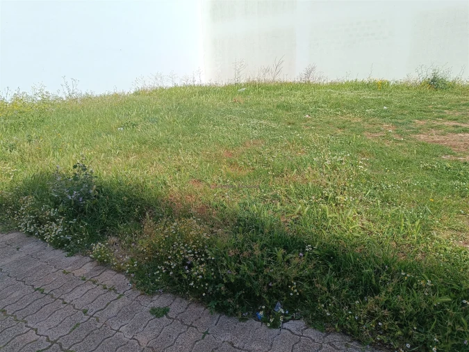 Terreno para Venda em Queluz e Belas Foto 17