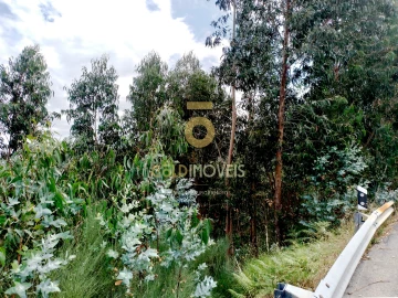 Terreno Agricola ou Rústico para Venda em Raiva, Pedorido e Paraíso