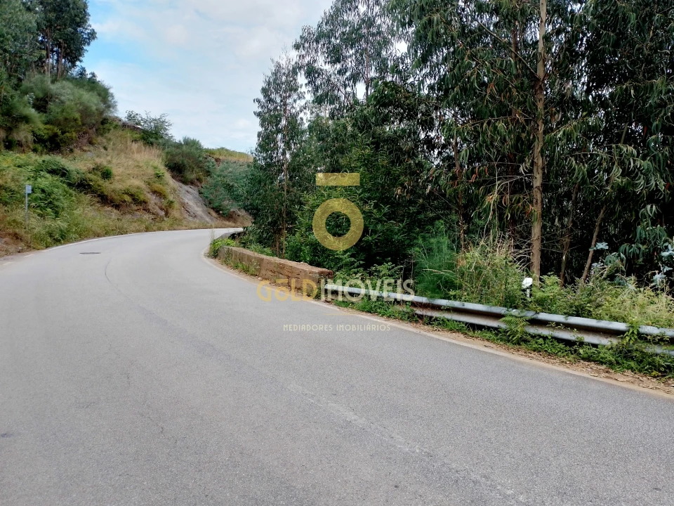 Terreno Agricola ou Rústico para Venda em Raiva, Pedorido e Paraíso Foto 2