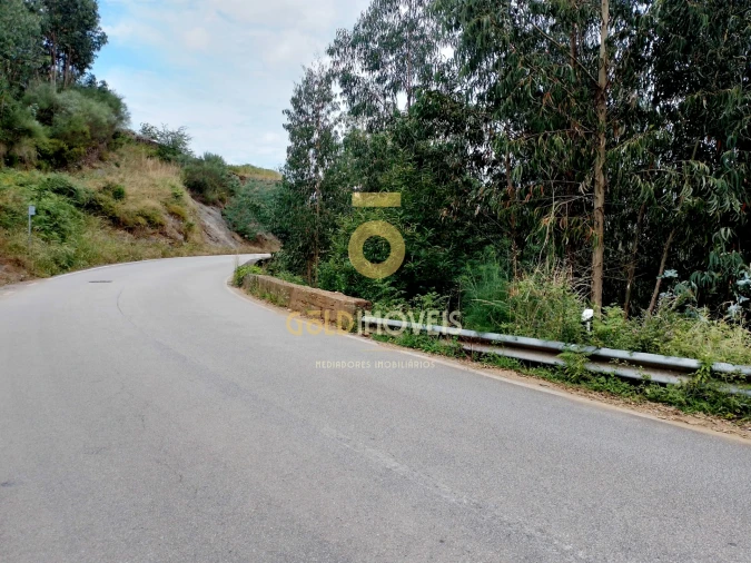 Terreno Agricola ou Rústico para Venda em Raiva, Pedorido e Paraíso Foto 2