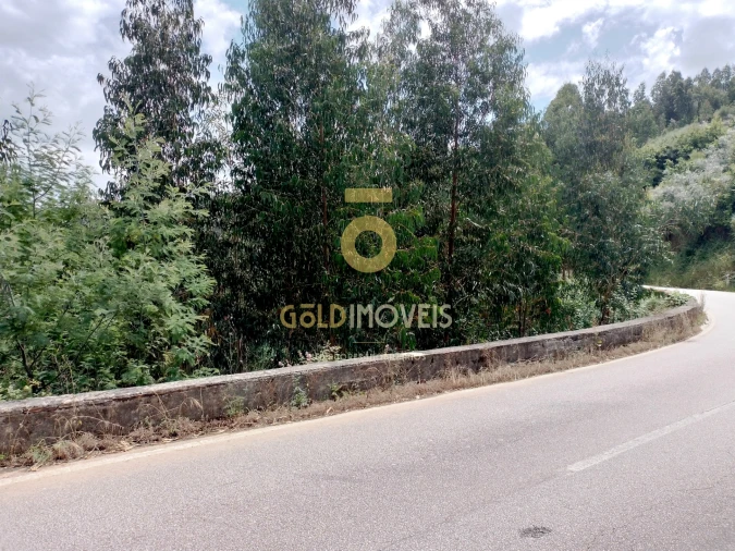 Terreno Agricola ou Rústico para Venda em Raiva, Pedorido e Paraíso Foto 3