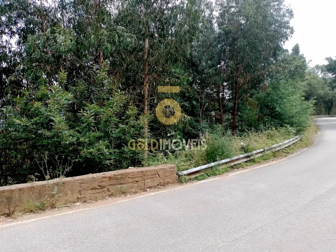 Terreno Agricola ou Rústico para Venda em Raiva, Pedorido e Paraíso Foto 6