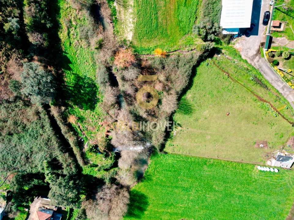 Terreno Agricola ou Rústico para Venda em Gandra Foto 1