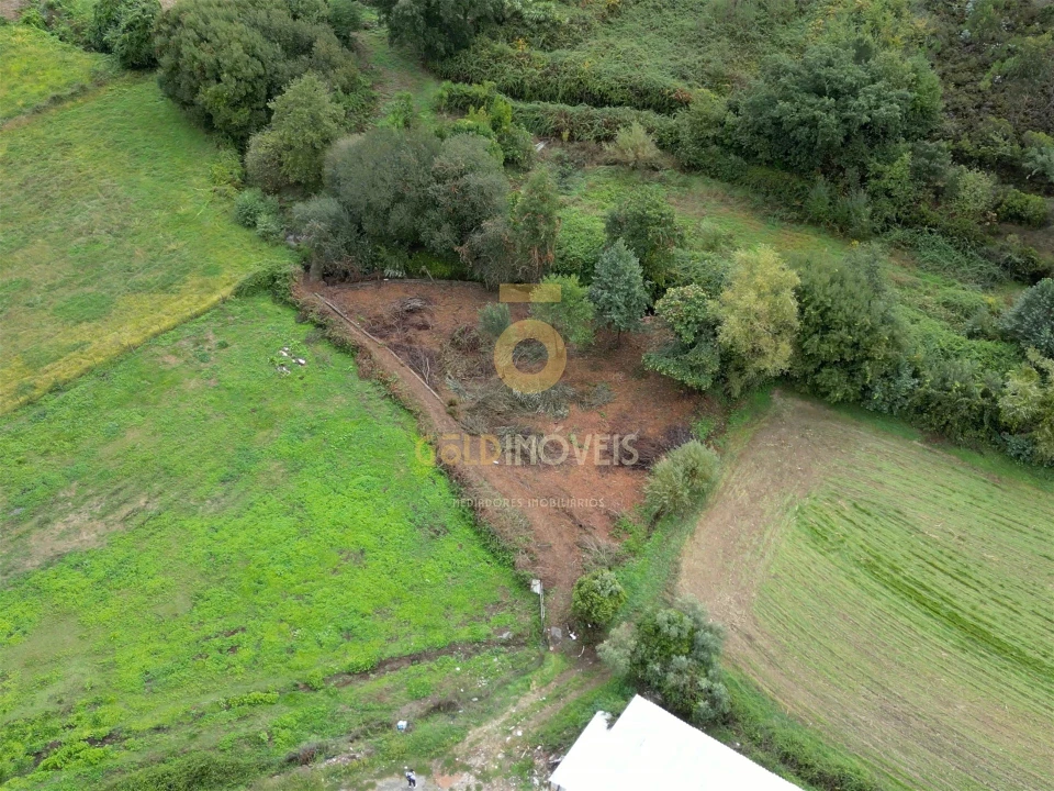 Terreno Agricola ou Rústico para Venda em Gandra Foto 2