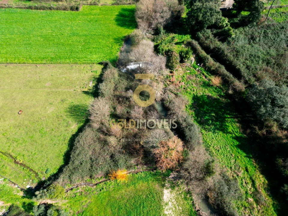 Terreno Agricola ou Rústico para Venda em Gandra Foto 2