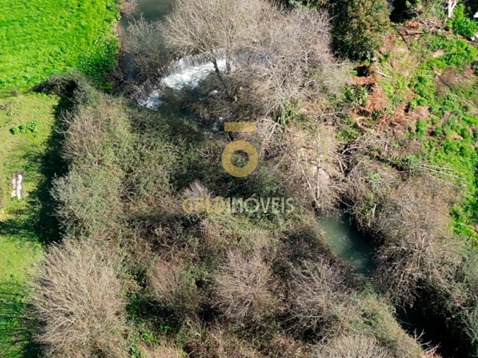 Terreno Agricola ou Rústico para Venda em Gandra Foto 3