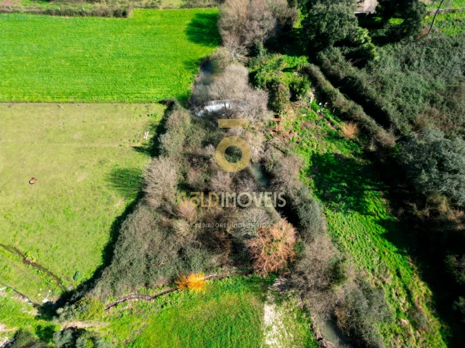 Terreno Agricola ou Rústico para Venda em Gandra Foto 2