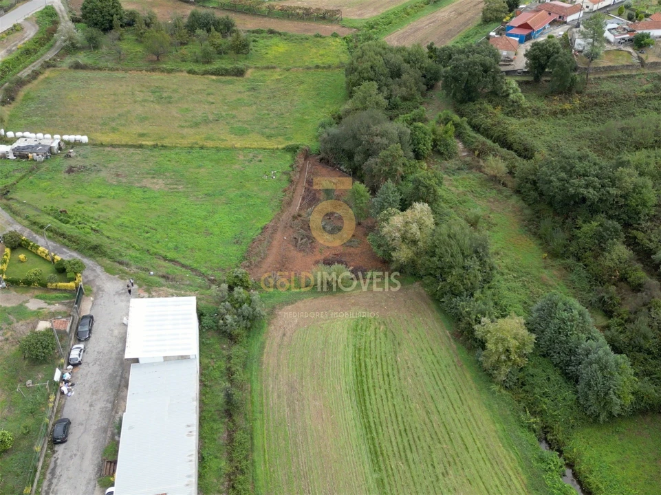 Terreno Agricola ou Rústico para Venda em Gandra Foto 3