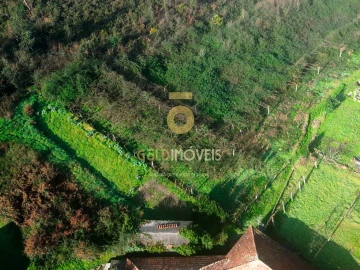 Terreno Agricola ou Rústico para Venda em Gandra