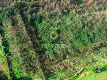 Terreno Agricola ou Rústico para Venda em Gandra