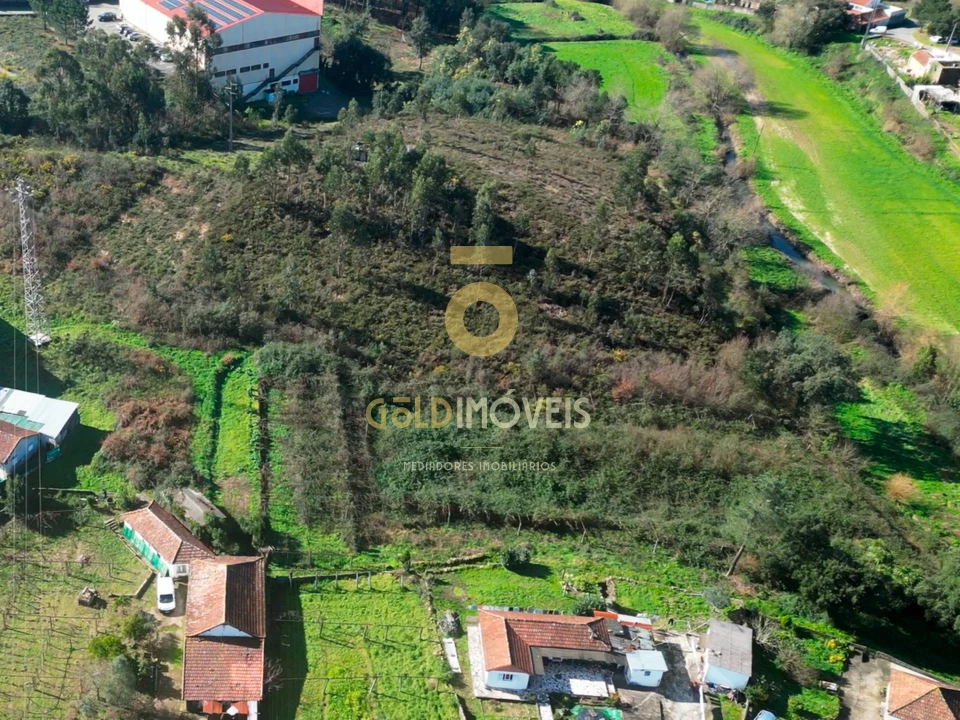 Terreno Agricola ou Rústico para Venda em Gandra Foto 1