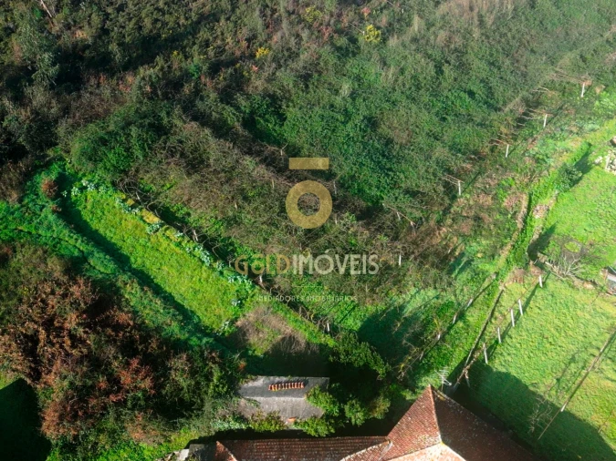Terreno Agricola ou Rústico para Venda em Gandra Foto 2