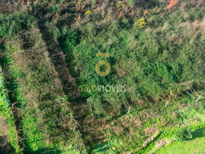 Terreno Agricola ou Rústico para Venda em Gandra Foto 3