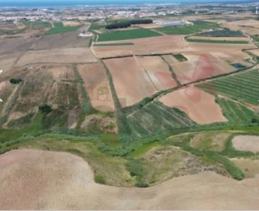 Terreno Agricola ou Rústico para Venda em Lourinhã e Atalaia Foto 1
