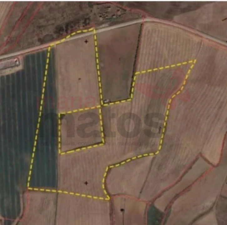 Terreno Agricola ou Rústico para Venda em Lourinhã e Atalaia Foto 2