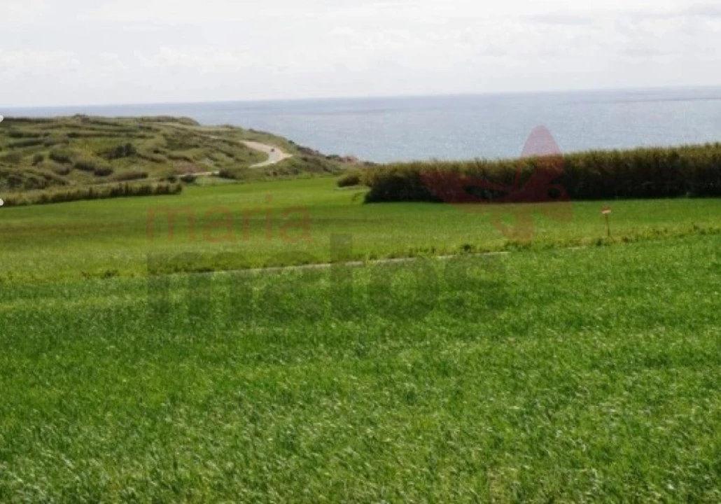 Terreno Agricola ou Rústico para Venda em Lourinhã e Atalaia Foto 3
