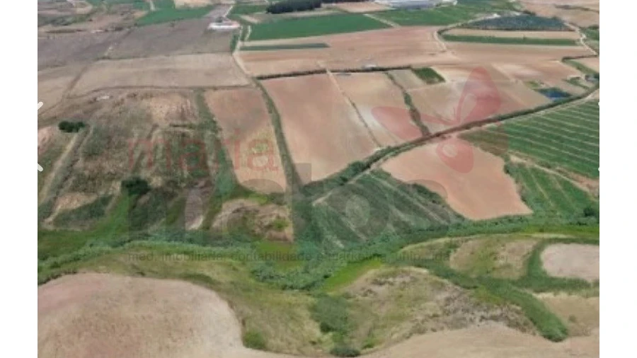 Terreno Agricola ou Rústico para Venda em Lourinhã e Atalaia