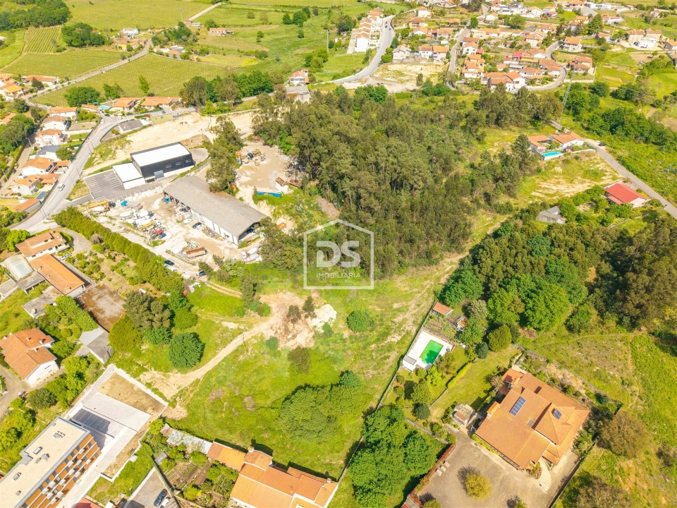 Terreno para Arrendamento em Termas de São Vicente Foto 3