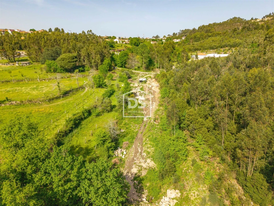 Terreno para Venda em Duas Igrejas Foto 4