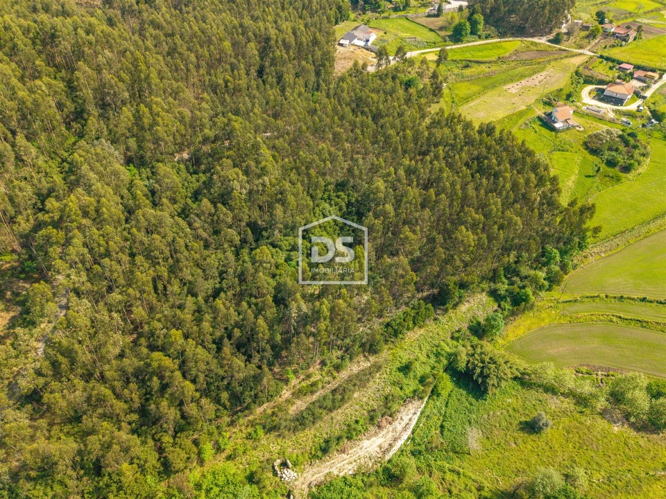 Terreno para Venda em Duas Igrejas Foto 11