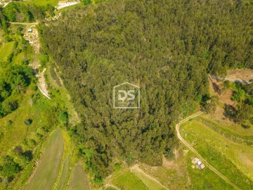 Terreno para Venda em Duas Igrejas