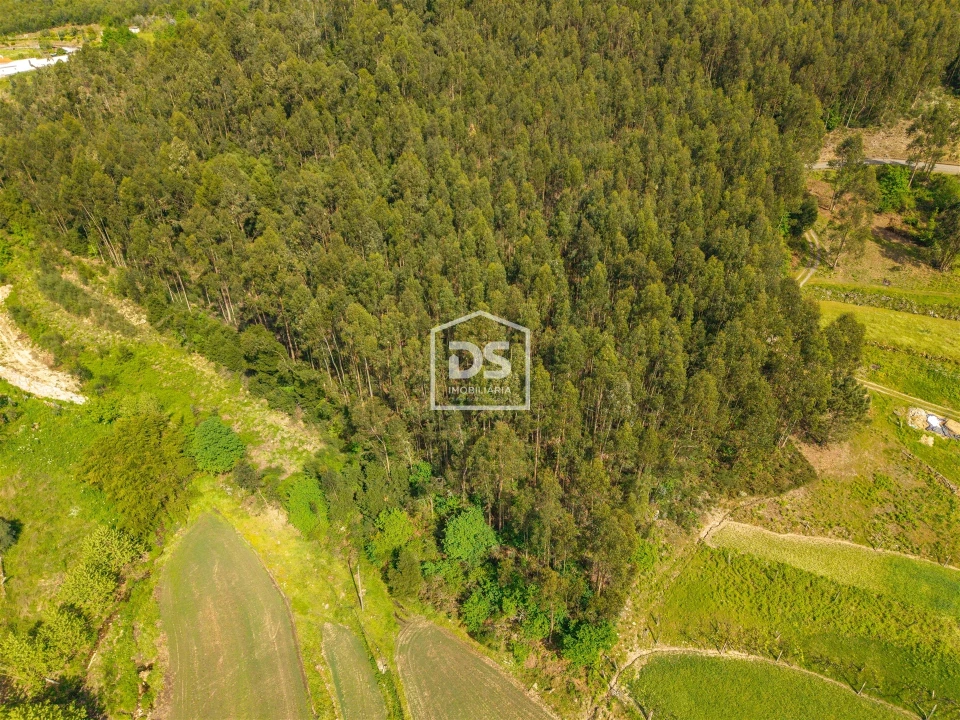 Terreno para Venda em Duas Igrejas Foto 7