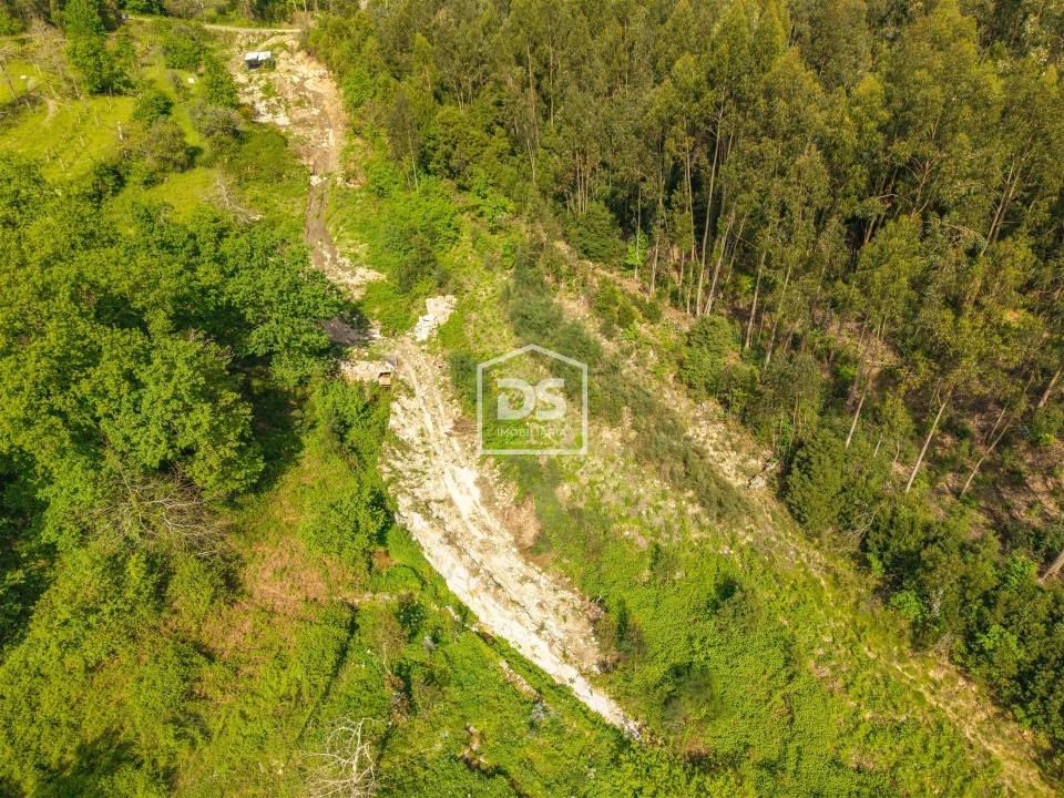 Terreno para Venda em Duas Igrejas Foto 5