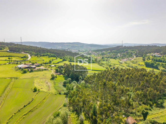 Terreno para Venda em Duas Igrejas Foto 2