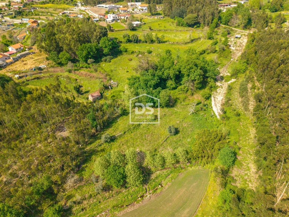 Terreno para Venda em Duas Igrejas Foto 6