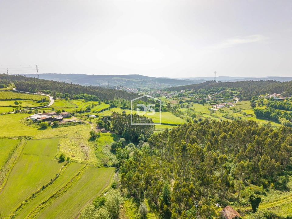 Terreno para Venda em Duas Igrejas Foto 2
