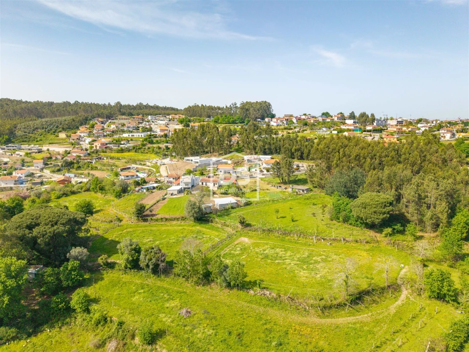 Terreno para Venda em Duas Igrejas Foto 3
