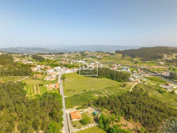 Armazém para Venda em Croca