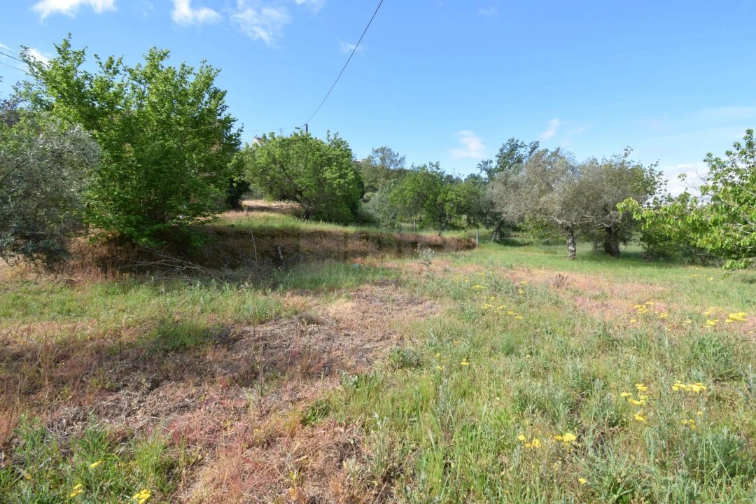 Quinta T3 para Venda em Ferro Foto 32