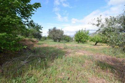 Quinta T3 para Venda em Ferro