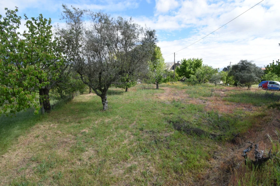 Quinta T3 para Venda em Ferro Foto 30